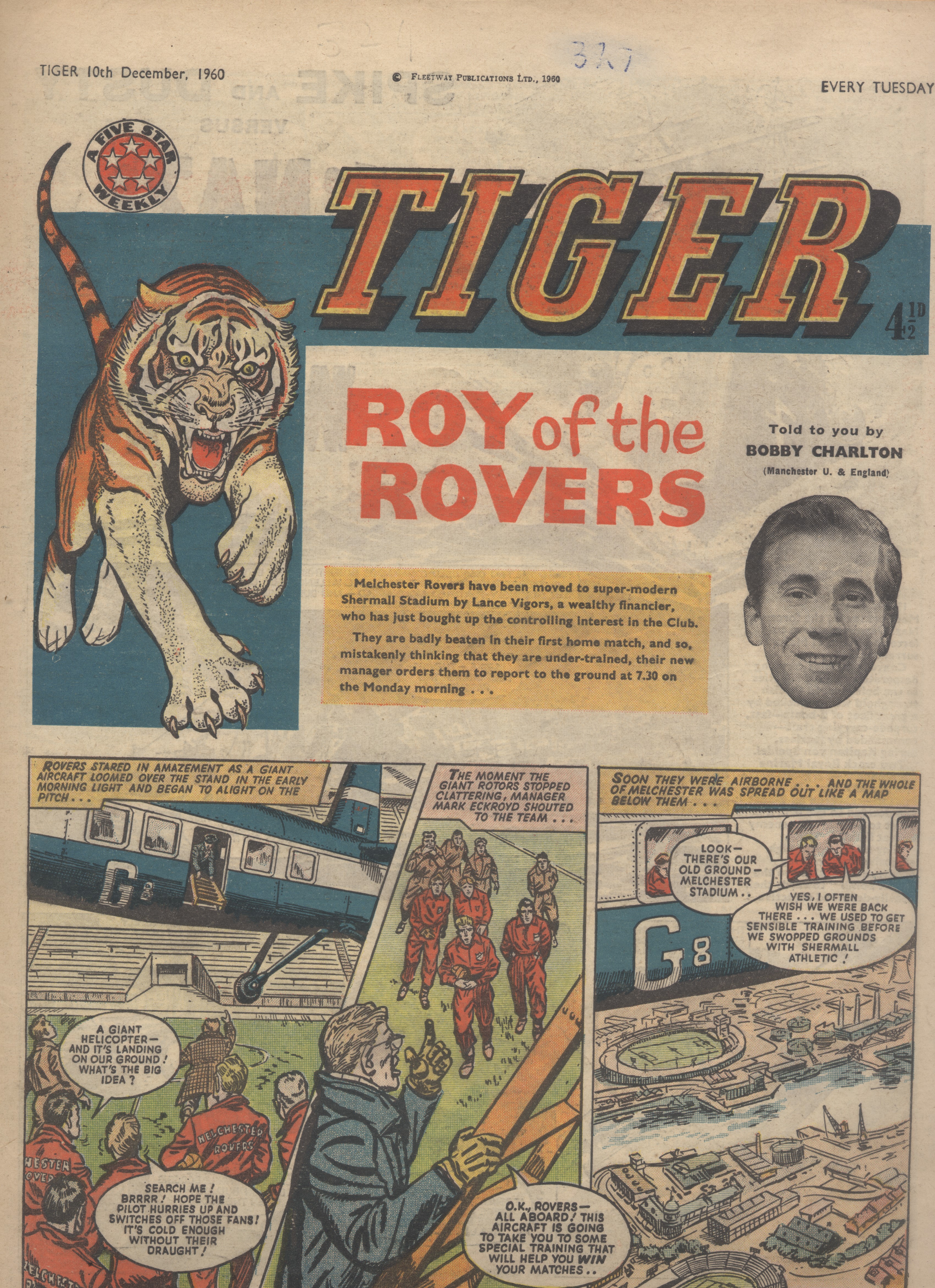 Tiger